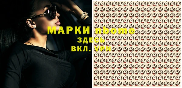 индика Алзамай