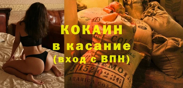 шишки Мегион