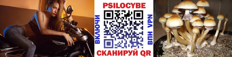 Псилоцибиновые грибы ЛСД  Купить где  Бокситогорск 